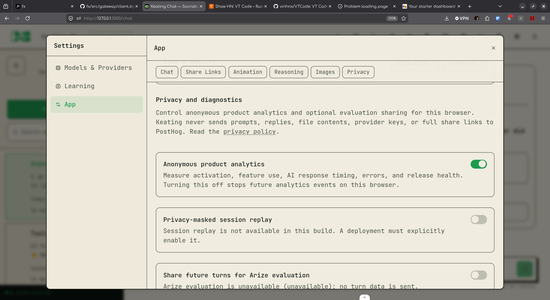 Settings, App, Privacy shows anonymous product analytics on, session replay off and unavailable, and Arize evaluation off and unavailable.